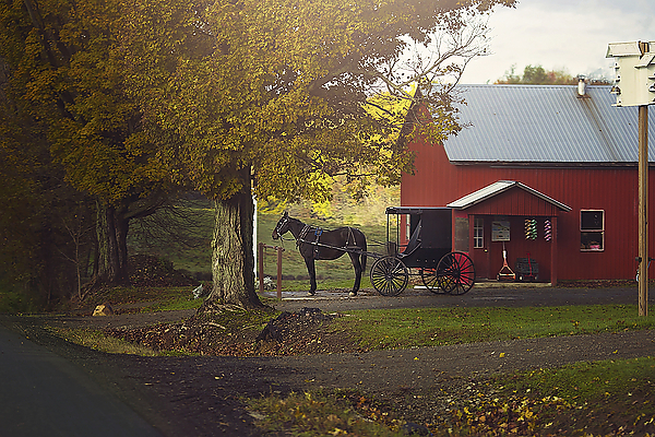 Amish Trail