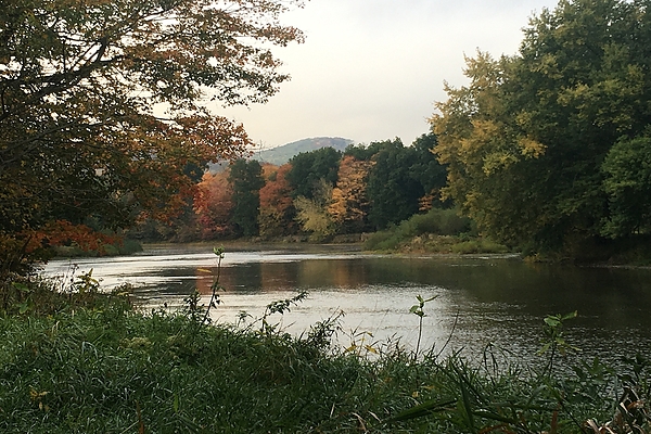 Allegheny River