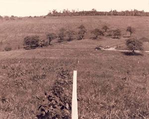 Dobbins Memorial State Forest was once a field