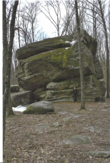 Big Rock at Thunder Rocks at Allegany State Park