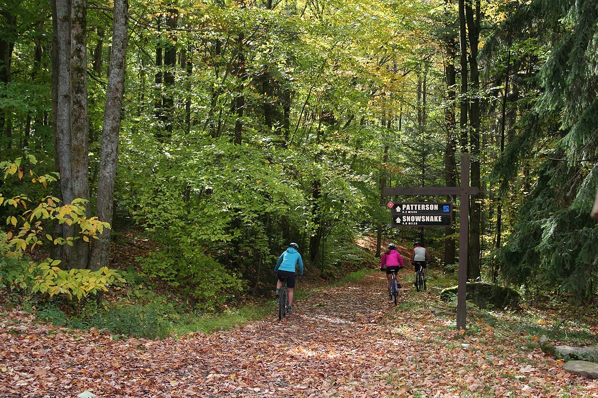 Mountain biking the trails at Allegany State Park at the Summit area