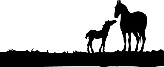 Silhouette of Mare and Foal in a field